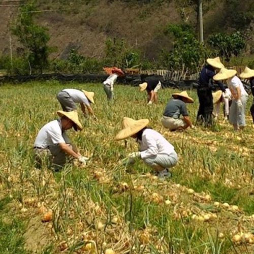 大亞電纜美麗家園基金會造訪綠農的家基金會造訪綠農的家