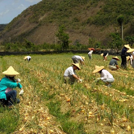大亞電纜美麗家園基金會造訪綠農的家